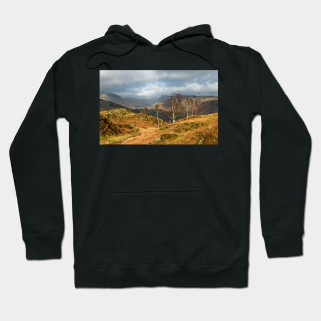 Silver Birches of Holme Fell Hoodie by jldunbar